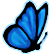 LIS_butterfly